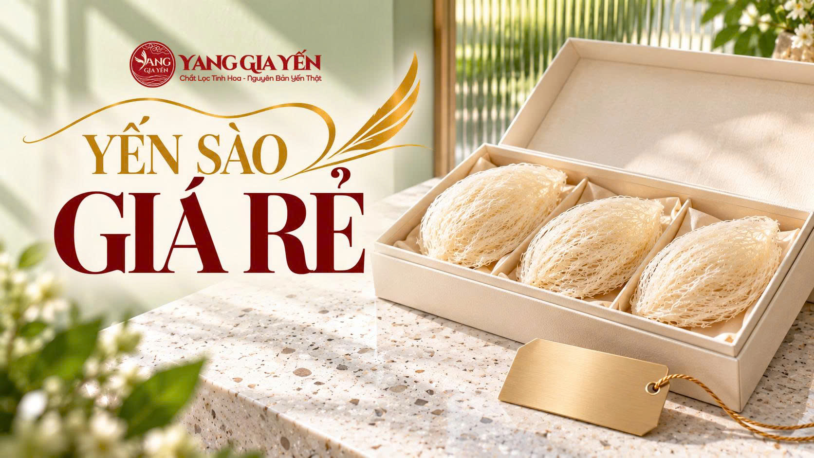 Yến sào giá rẻ