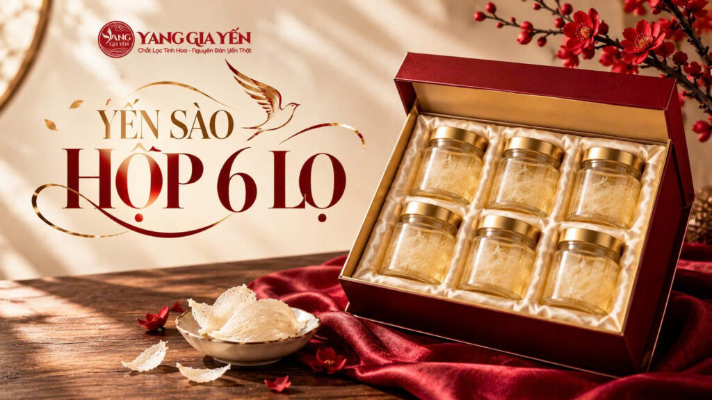 Yến sào hộp 6 lọ