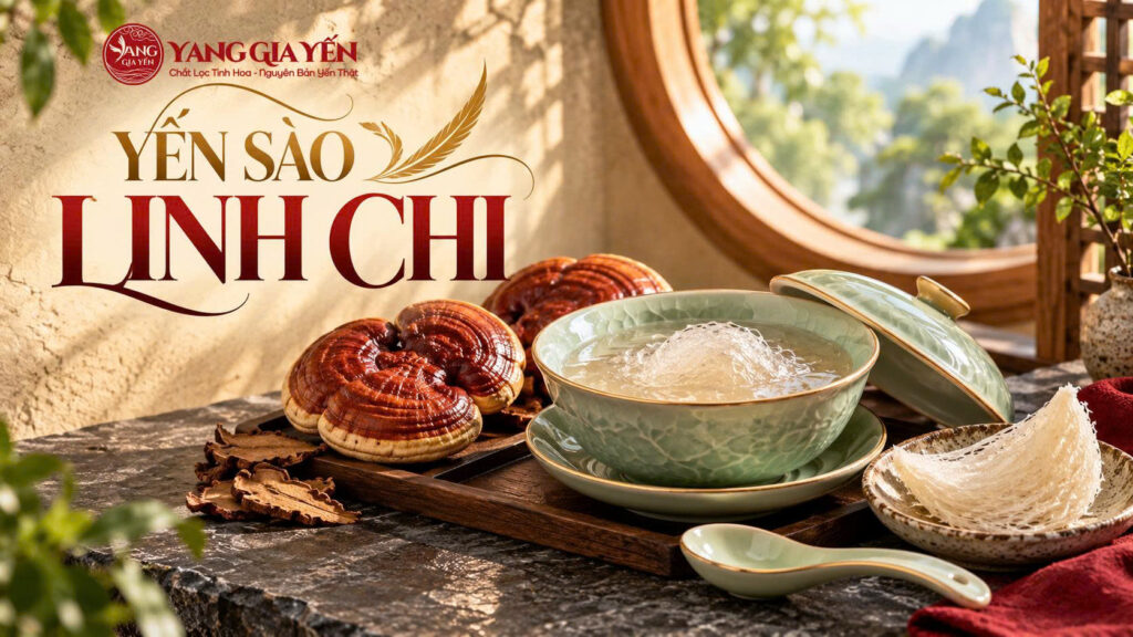 Yến sào linh chi