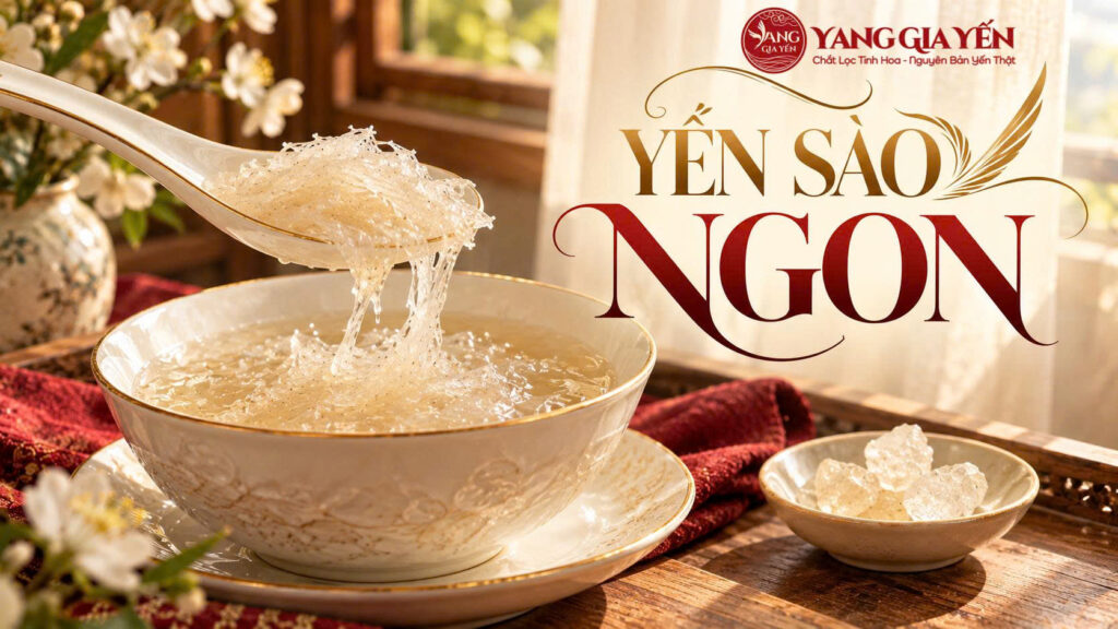 Yến sào ngon