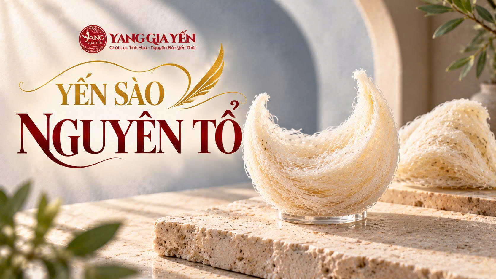 Yến sào nguyên tổ