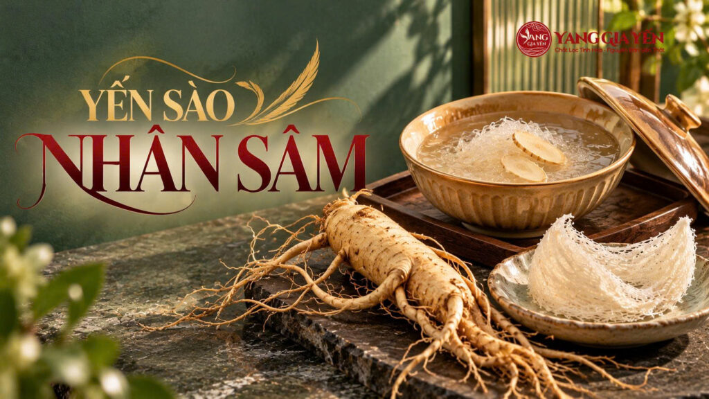 Yến sào nhân sâm