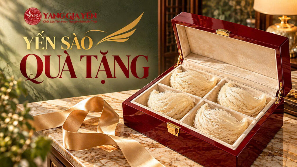Yến sào quà tặng