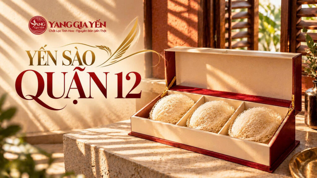 Yến sào quận 12