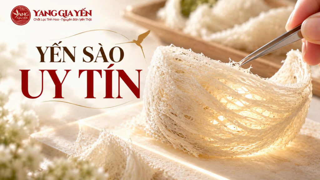 Yến sào uy tín