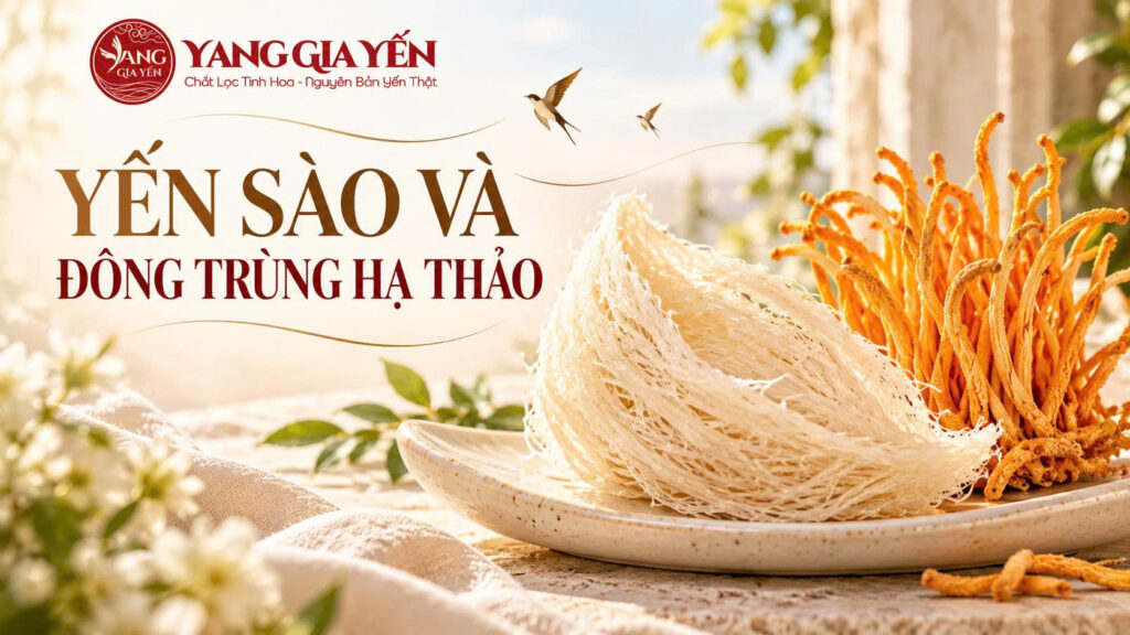 Yến sào và đông trùng hạ thảo