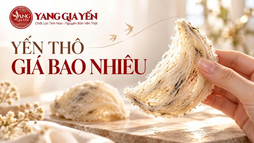 Yến thô giá bao nhiêu