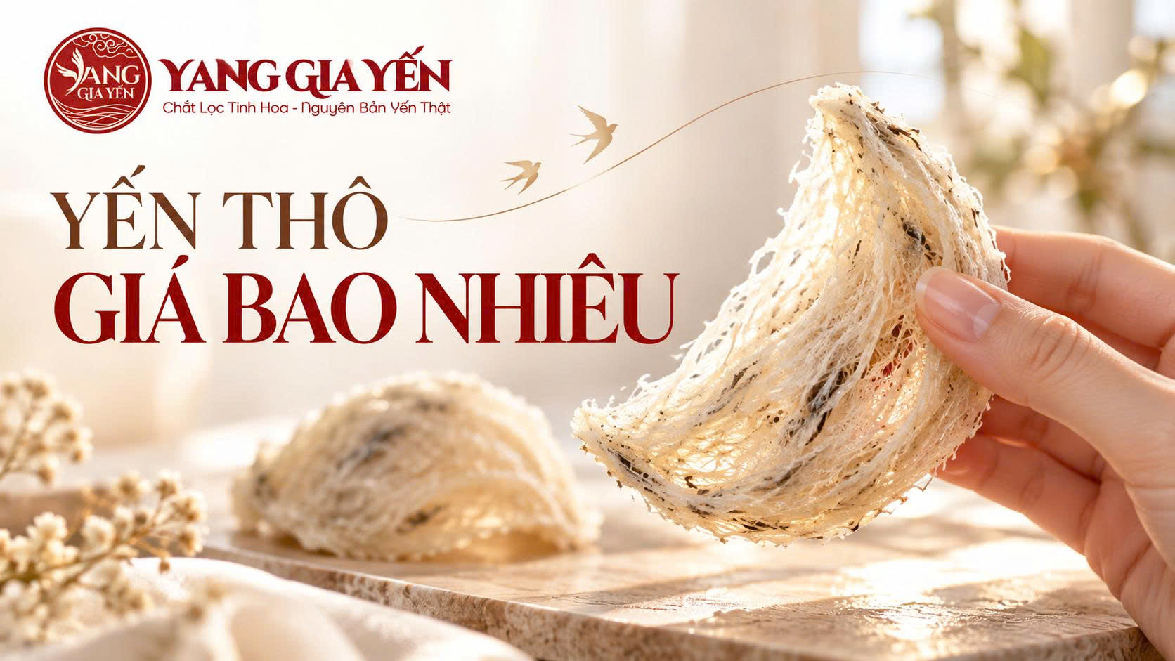 Yến thô giá bao nhiêu Yến thô giá bao nhiêu