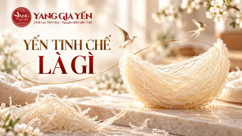Yến tinh chế là gì